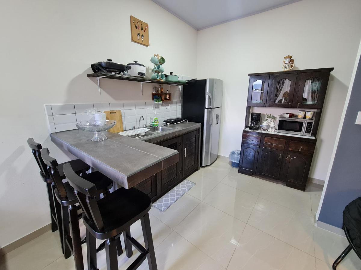 Ave Del Paraiso * Alajuela