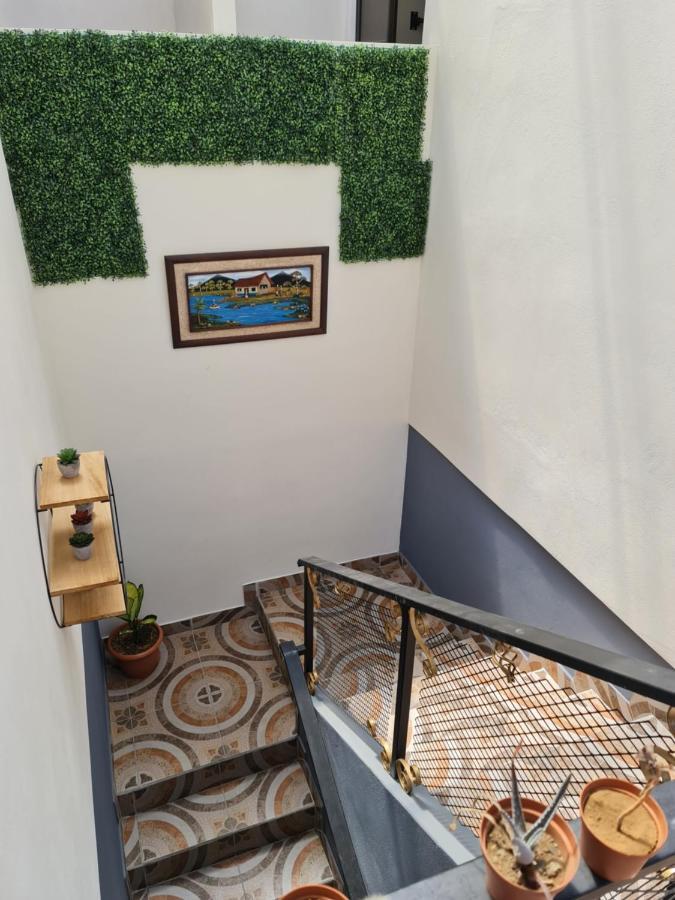 Ave Del Paraiso Alajuela